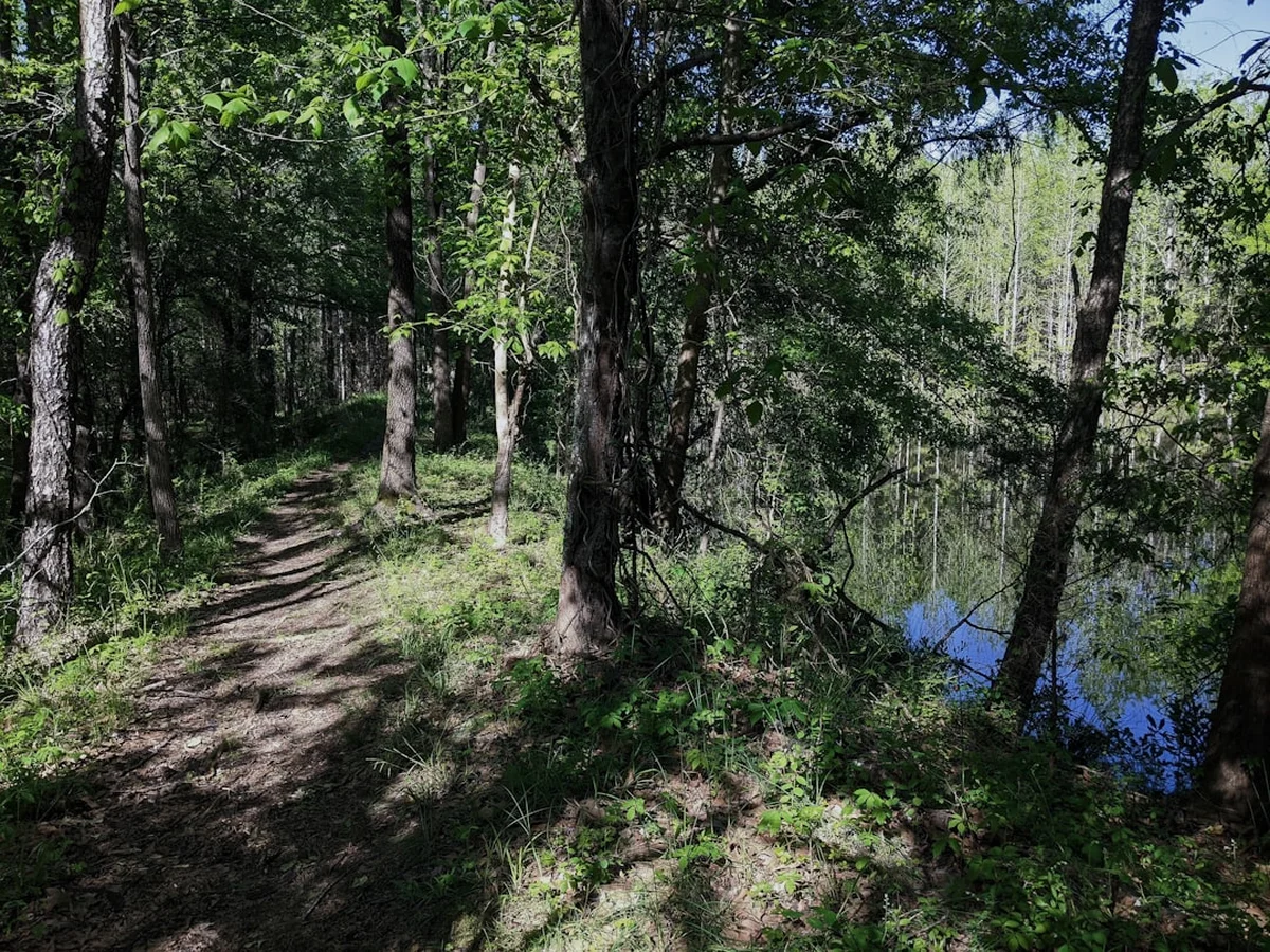 Plitvice Lakes Trail H Photo