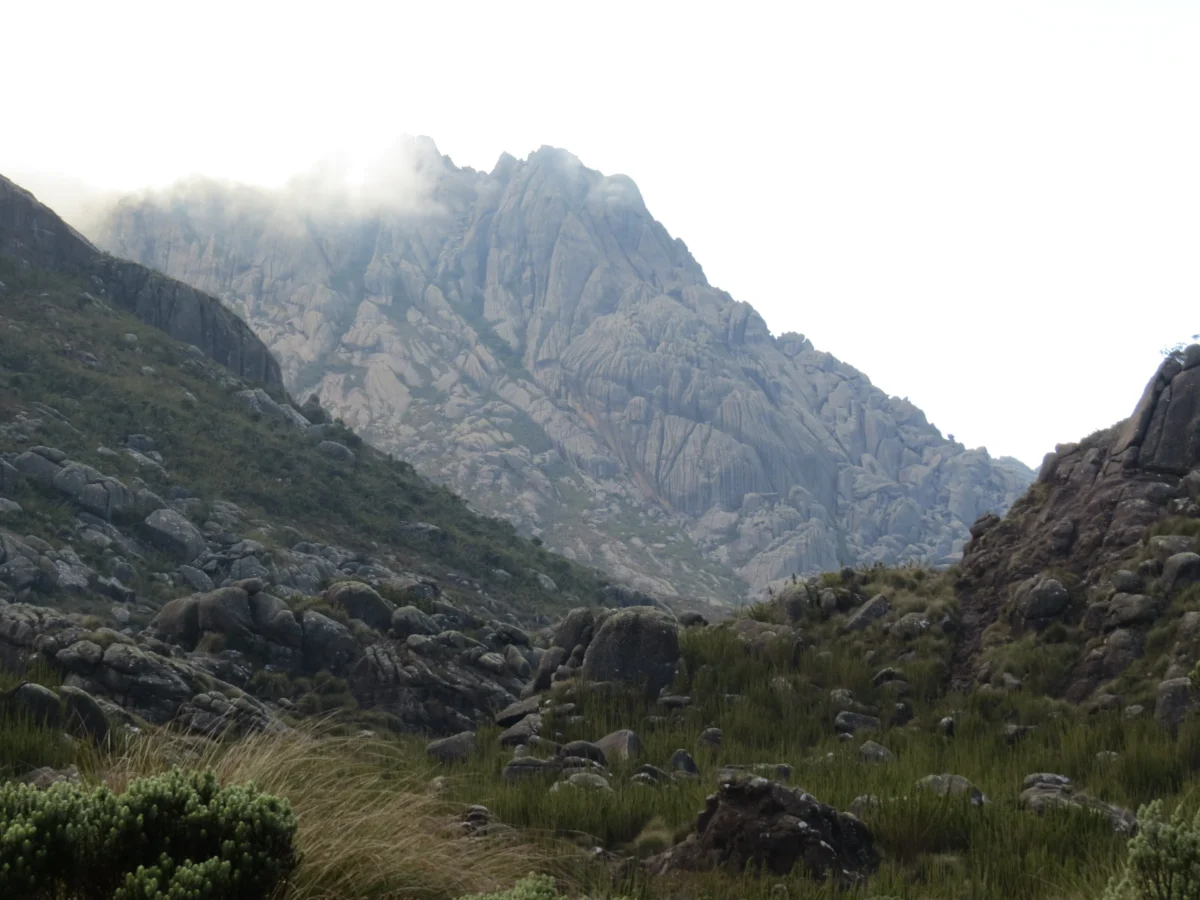 Pico das Agulhas Negras Trail Photo