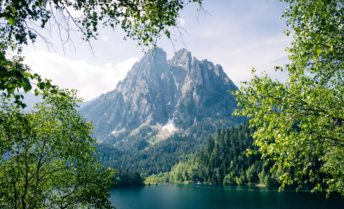 a large body of water surrounded by trees