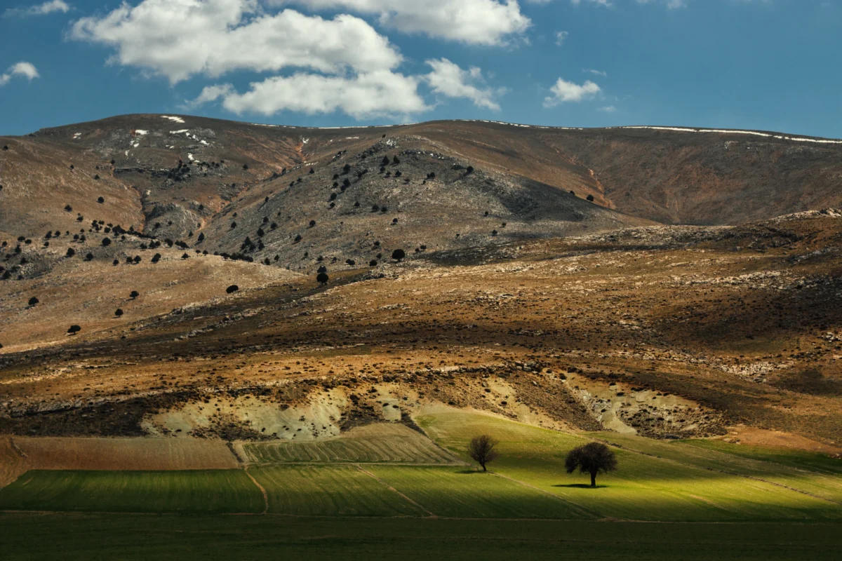 green grass field near brown mountains under blue sky during daytime