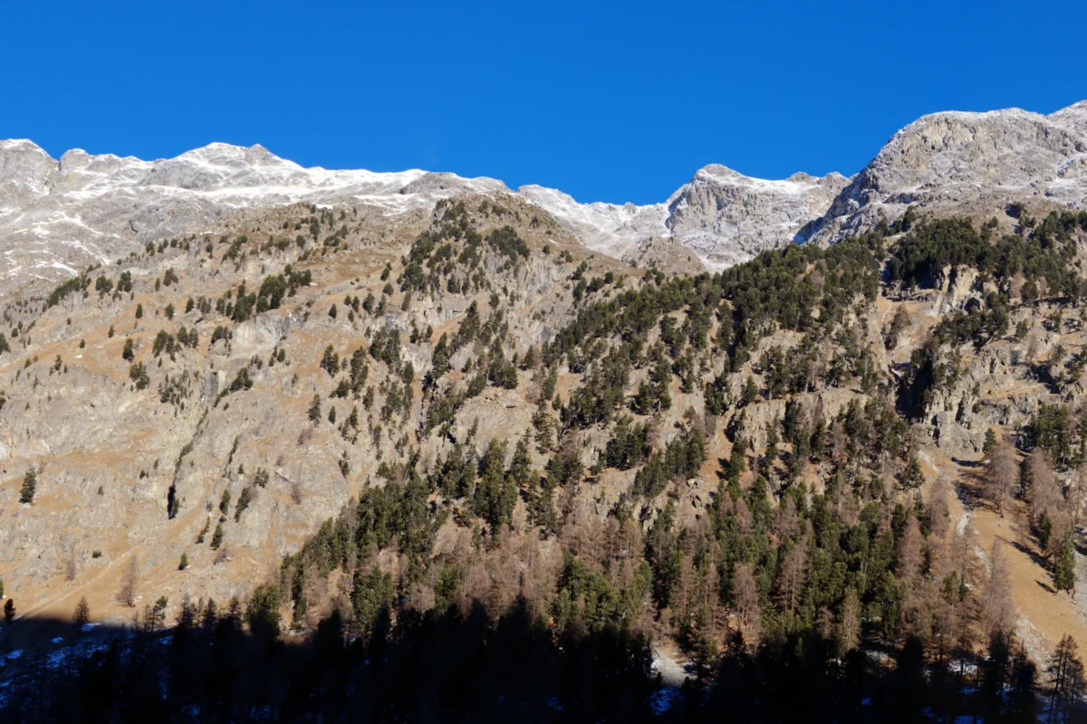 Snow dusted mountains under a clear blue sky