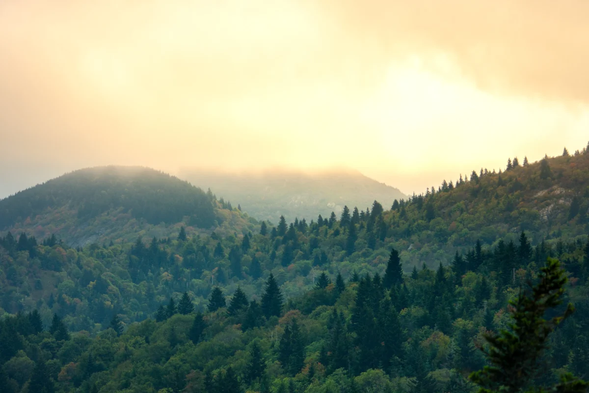 Art Loeb Trail Photo