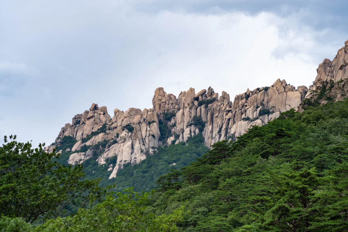 Baekdu-daegan Trail Photo