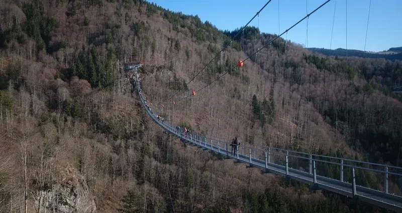 Long suspension bridge spanning a forested mountain valley.