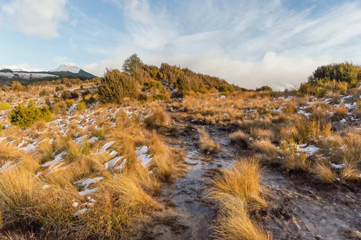 A view of a mountain range with clouds in the sky