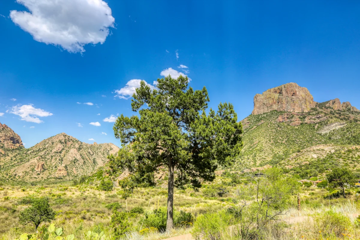 Big Bend Outer Mountain Loop Photo