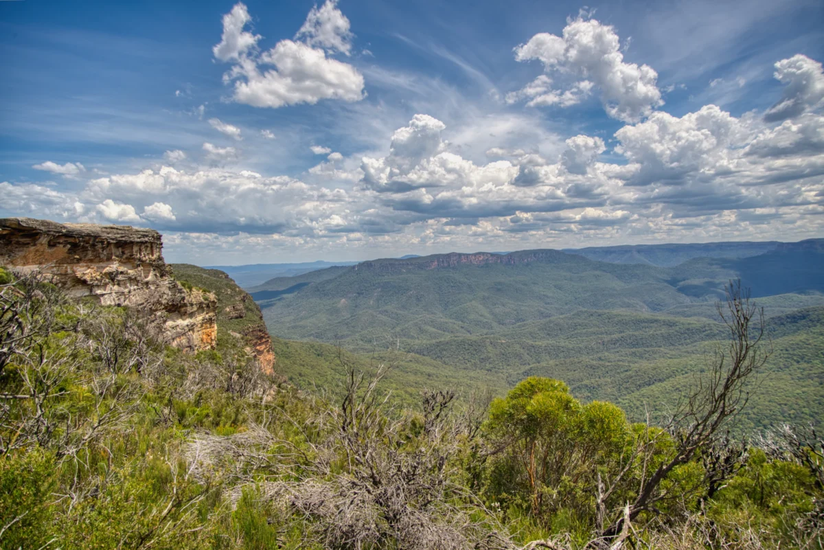 Blue Mountains Walkabout Photo