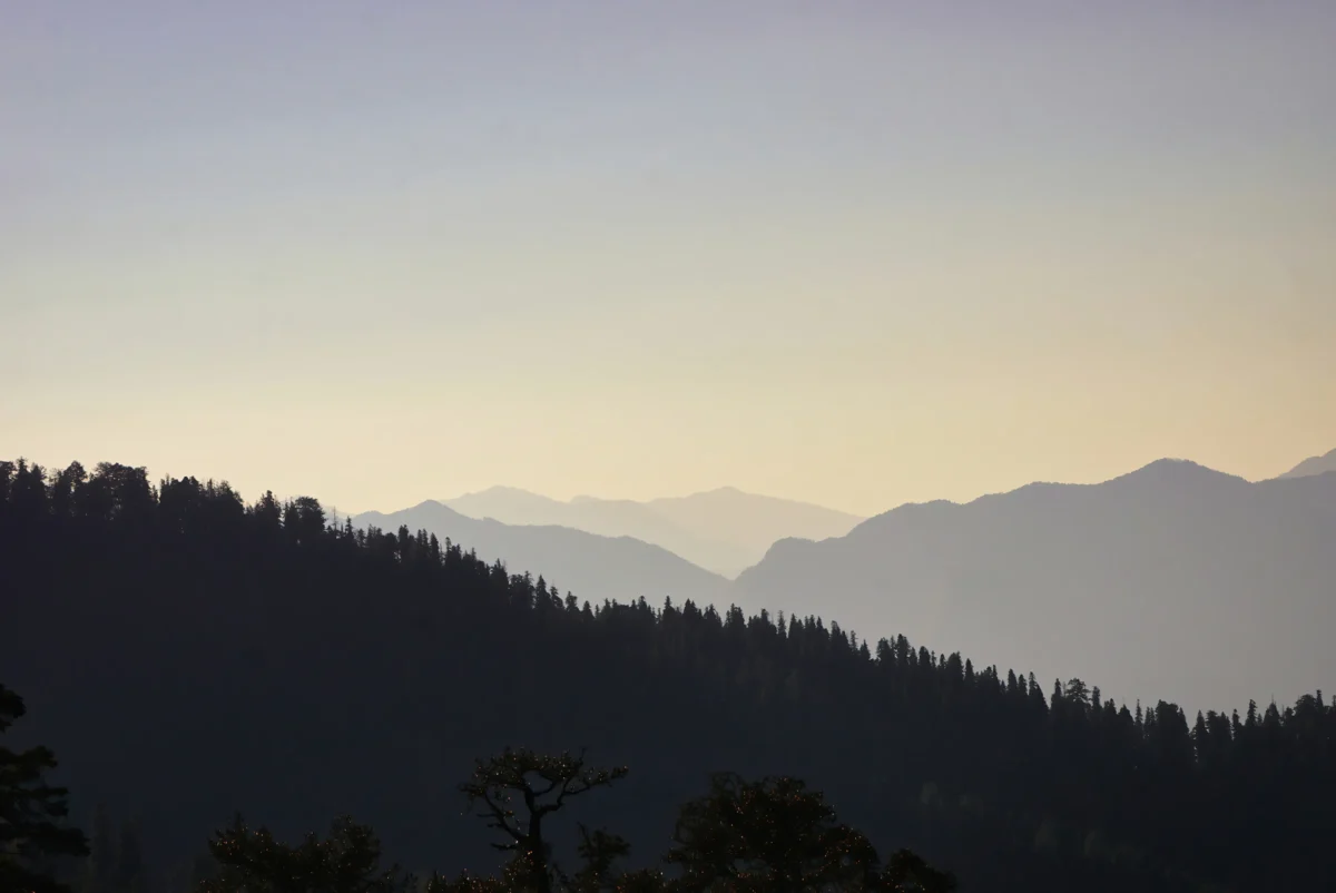 a view of a mountain range with trees in the foreground