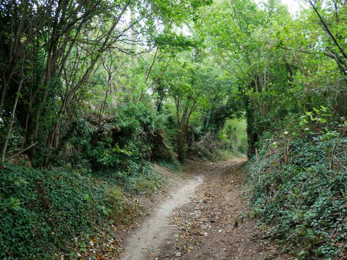 Scenic landscape of Canterbury Pilgrims Way in UK