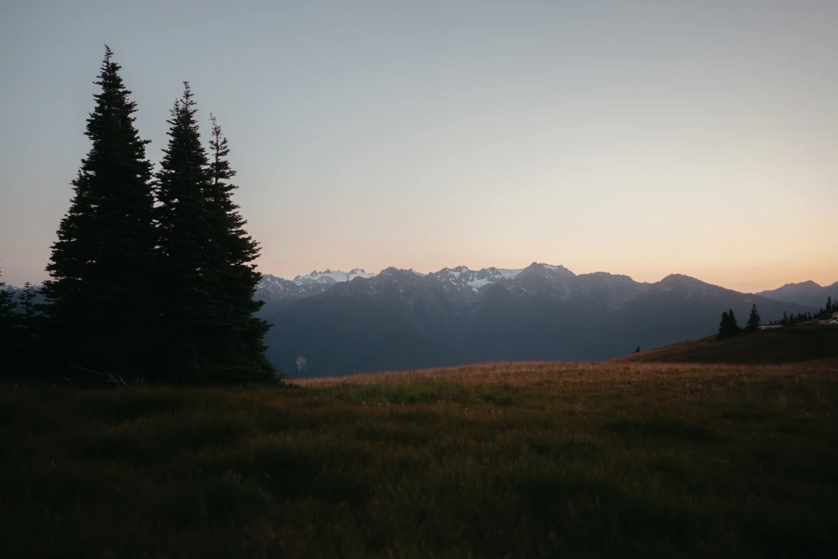Mountain range at sunset with trees.