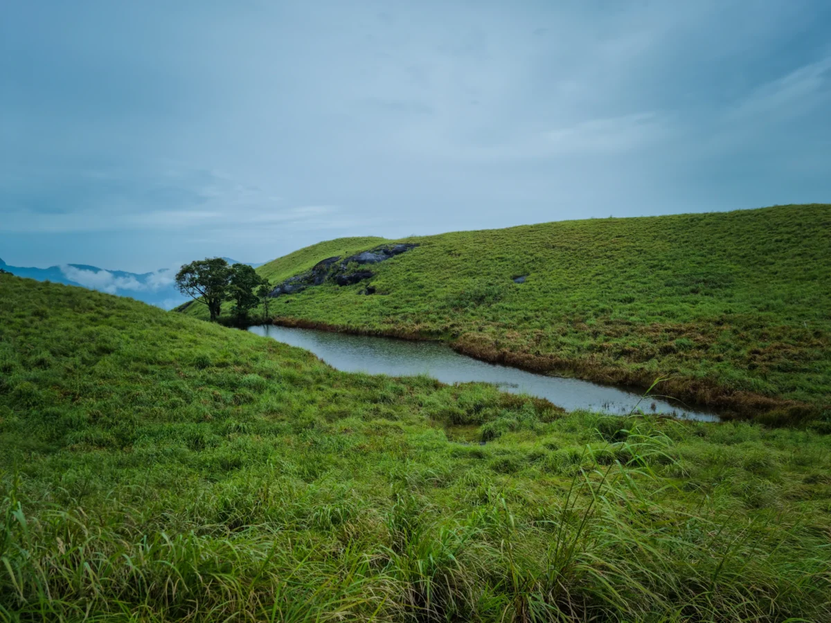 Chembra Peak Trek Photo