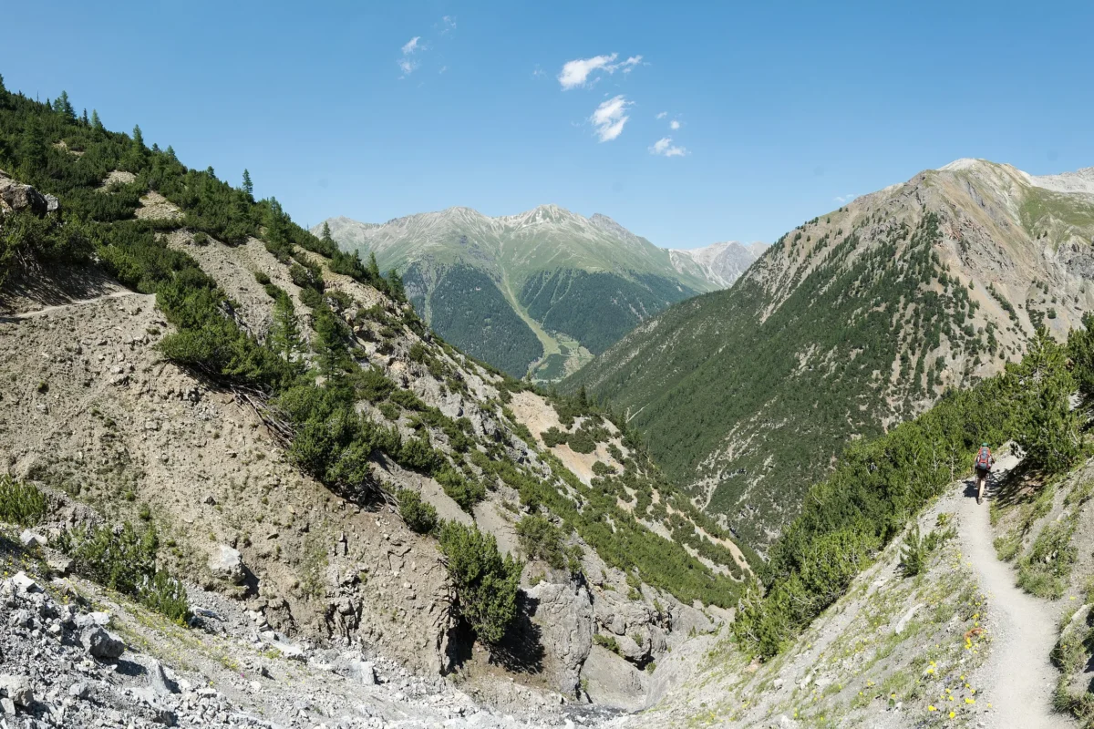 a mountain range with trees