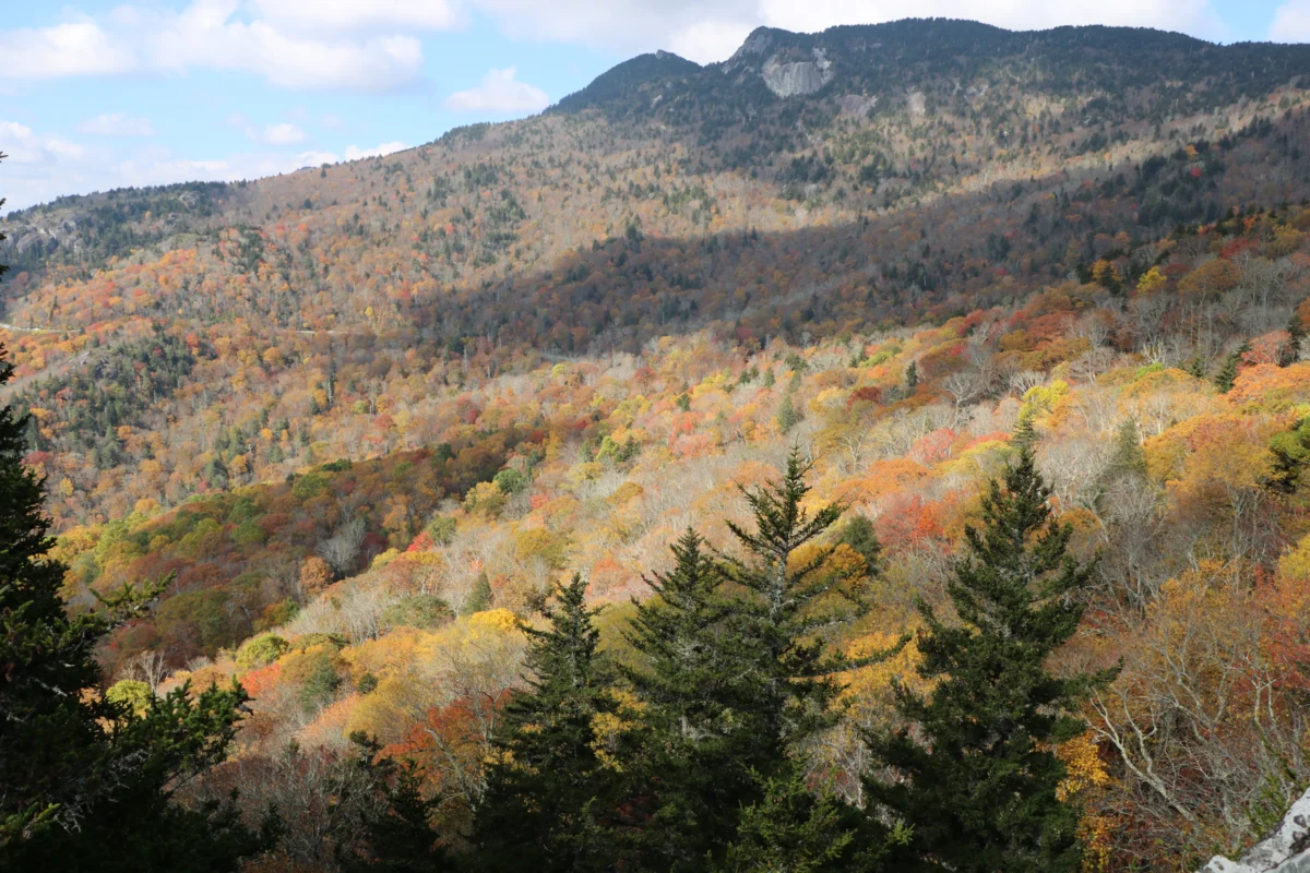 Autumn foliage covers rolling hills with a mountain peak.