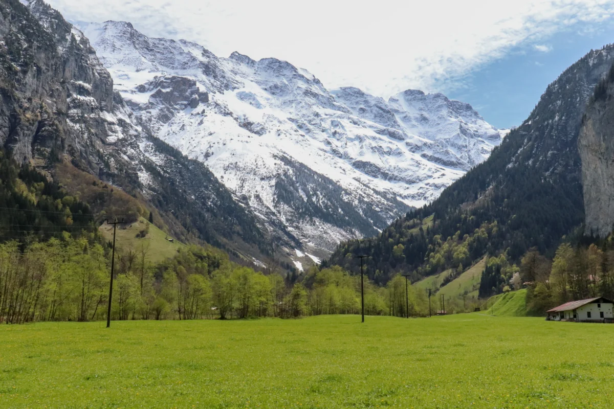 green grass field near snow covered mountain during daytime