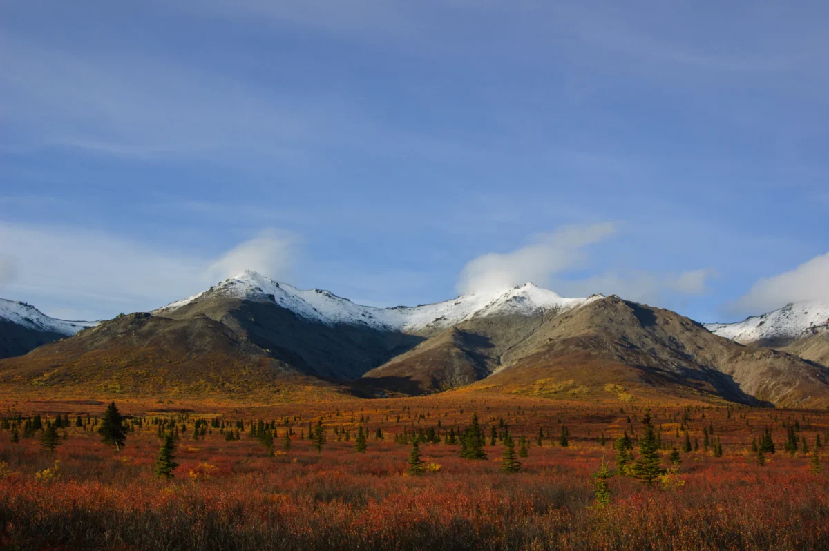 the mountains are covered in snow and brown grass
