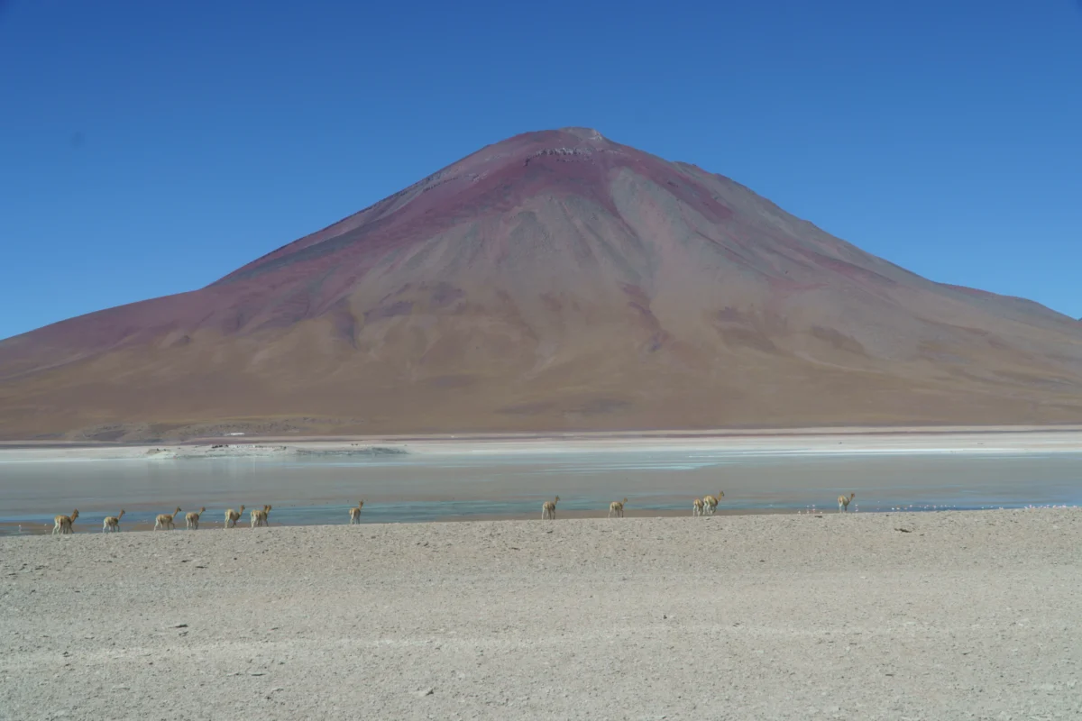 Volcano with a reddish-purple summit under a clear blue sky.