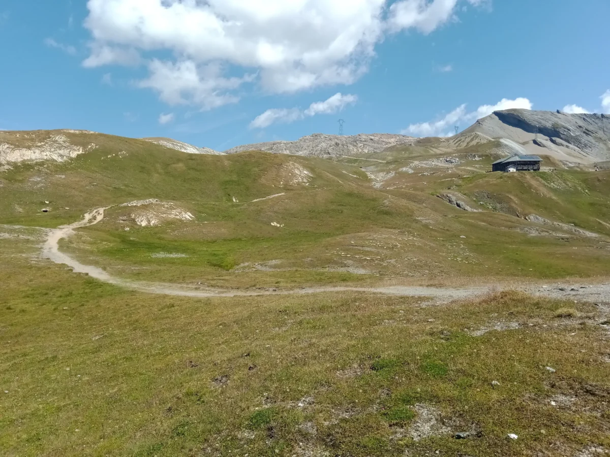 a large mountain with trees on the side of it