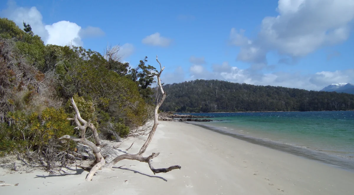 Scenic landscape of D'Entrecasteaux Coast Trek in Australia