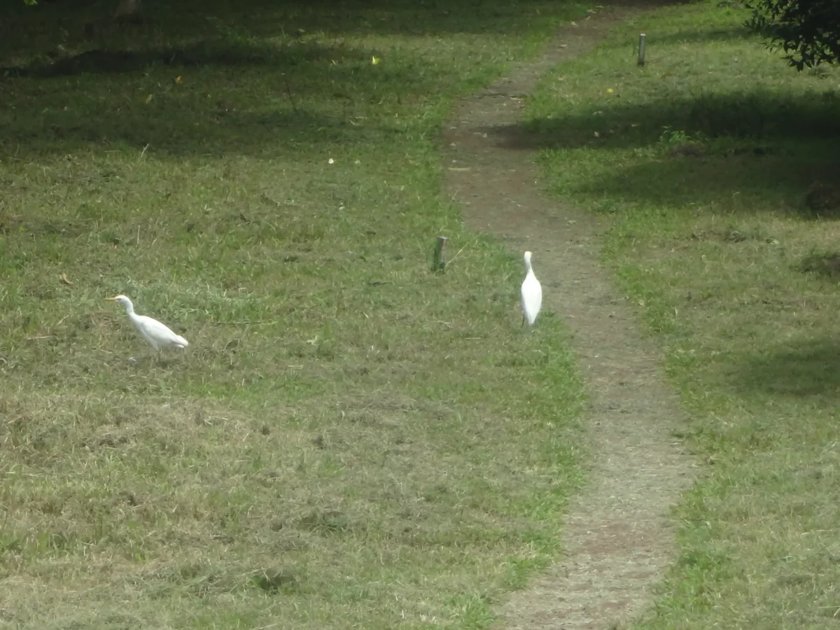 Scenic landscape of Darwin Trail in Ecuador
