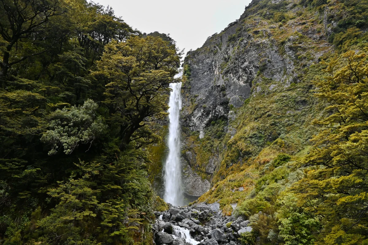 waterfalls in the forest
