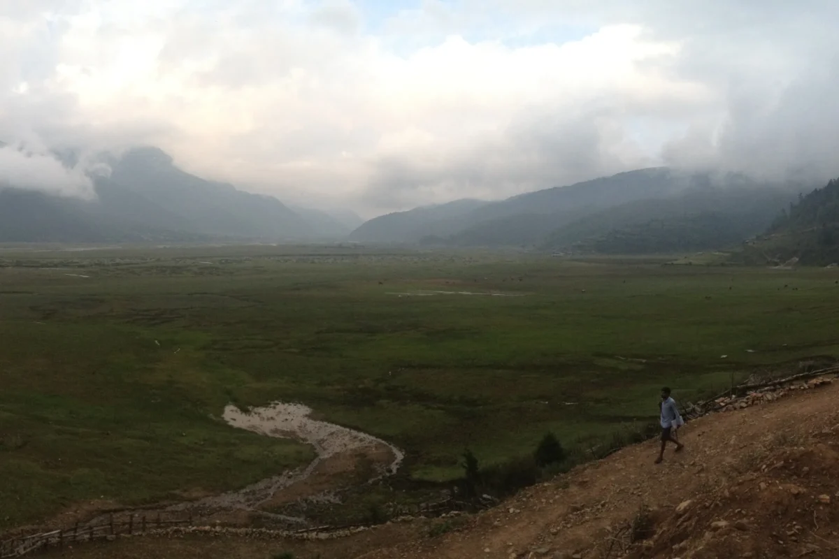 a path leading to the top of a mountain