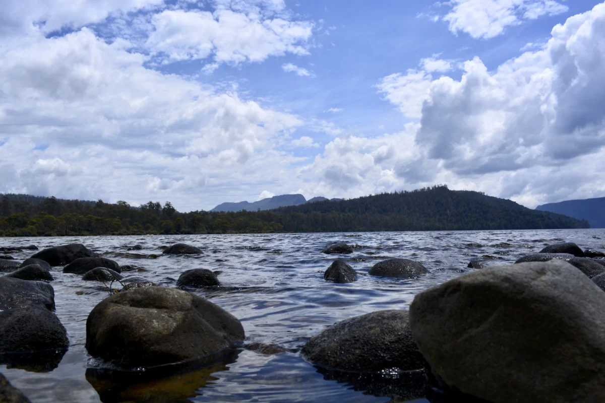 Lake St Clair Echo Point Track Photo
