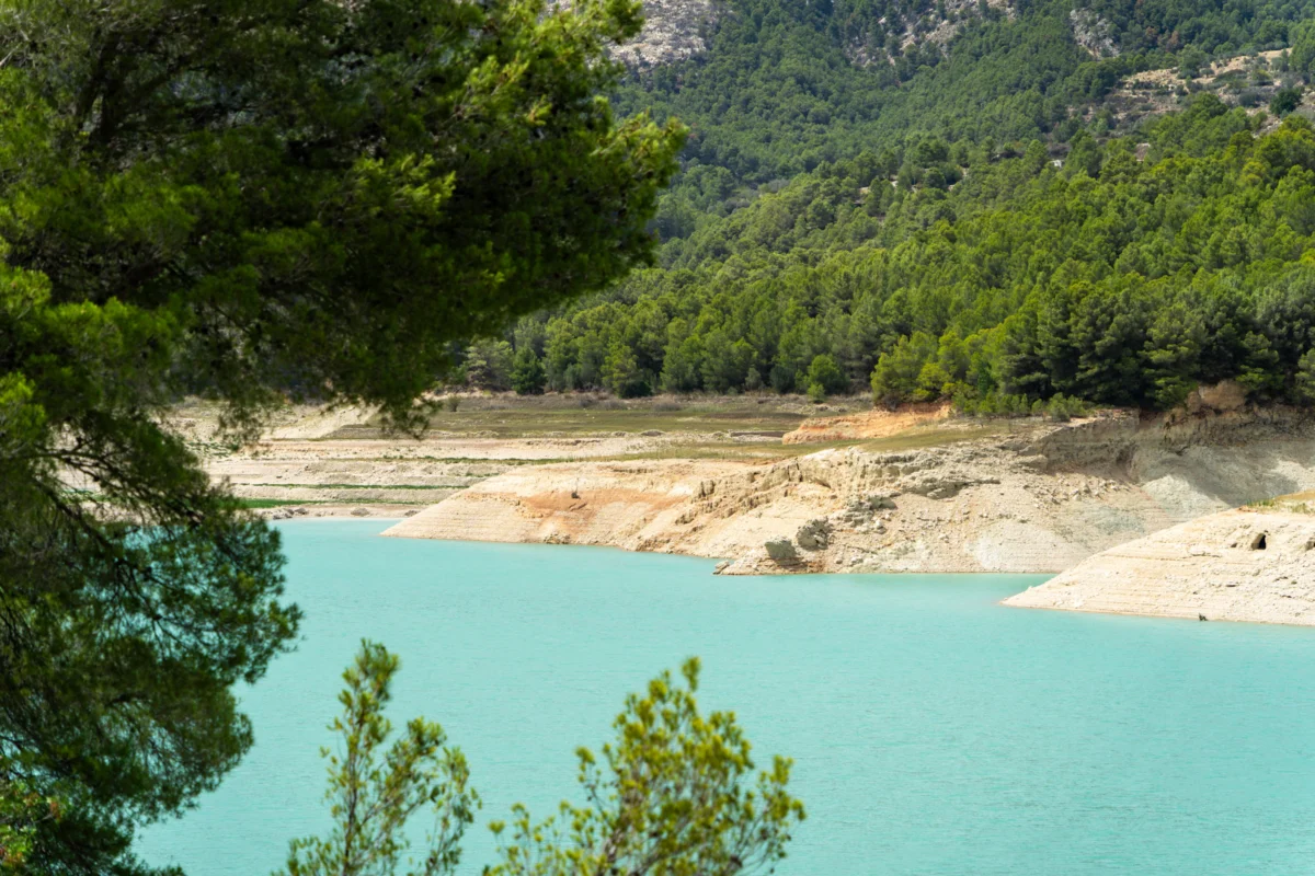 A large body of water surrounded by trees