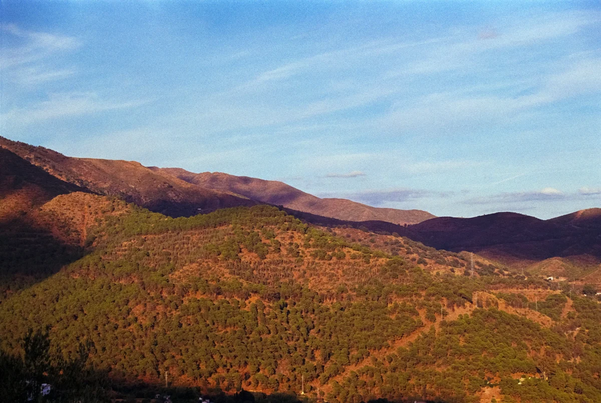 Mountains are lit up by the golden sunlight.