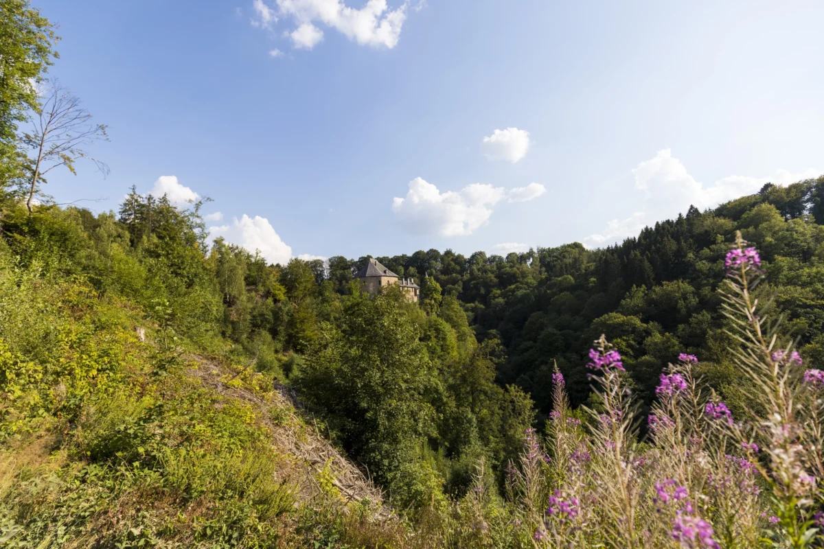 Scenic landscape of GR56: The Belgian Eifel in Belgium