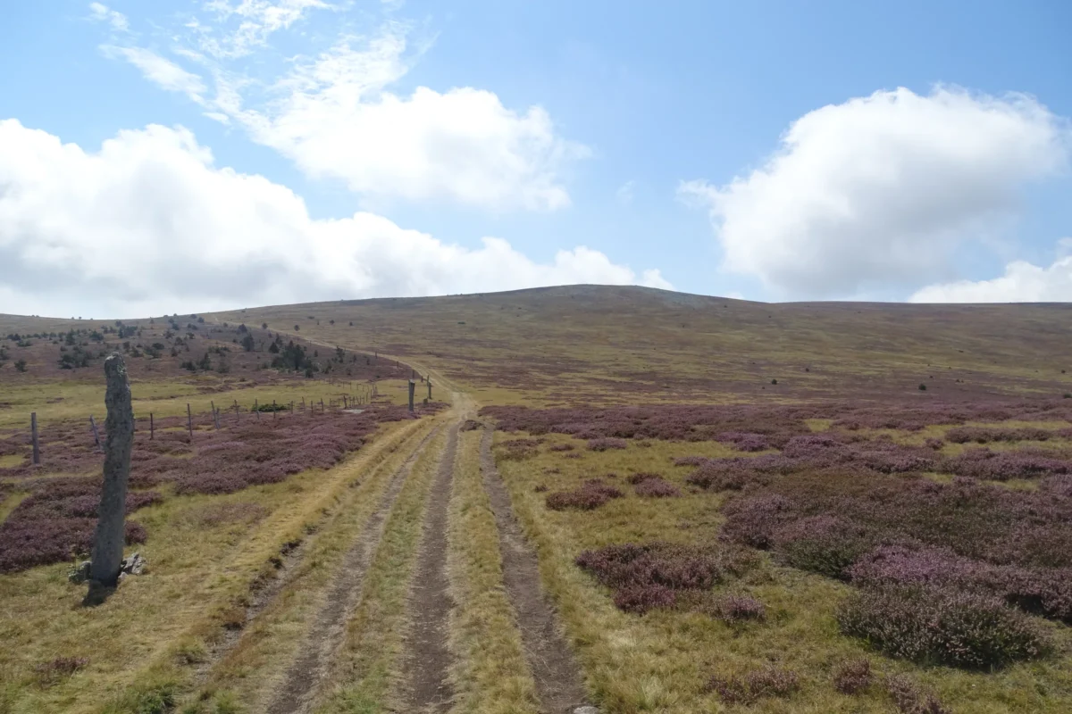 Scenic landscape of GR70 - Stevenson Trail in France