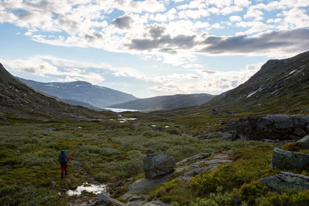 Scenic landscape of Hardangervidda Trek in Norway