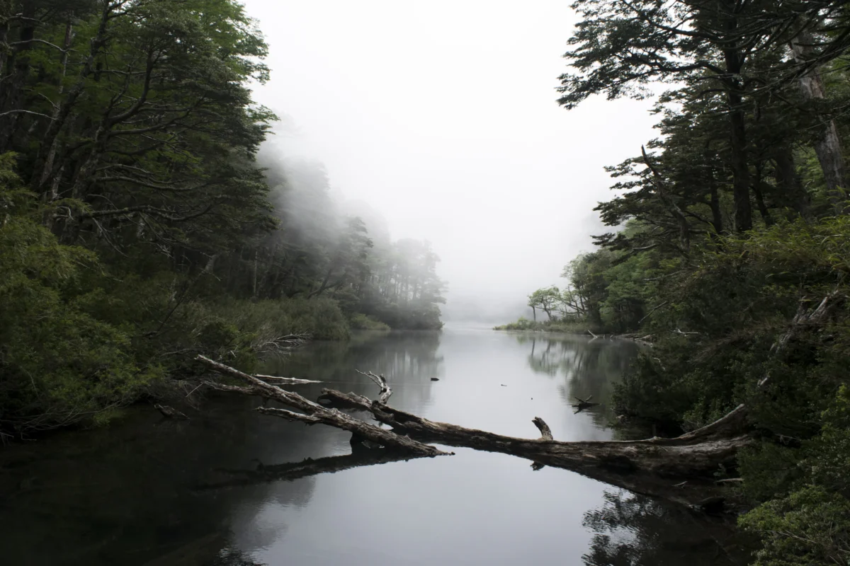 Huerquehue National Park Circuit Photo