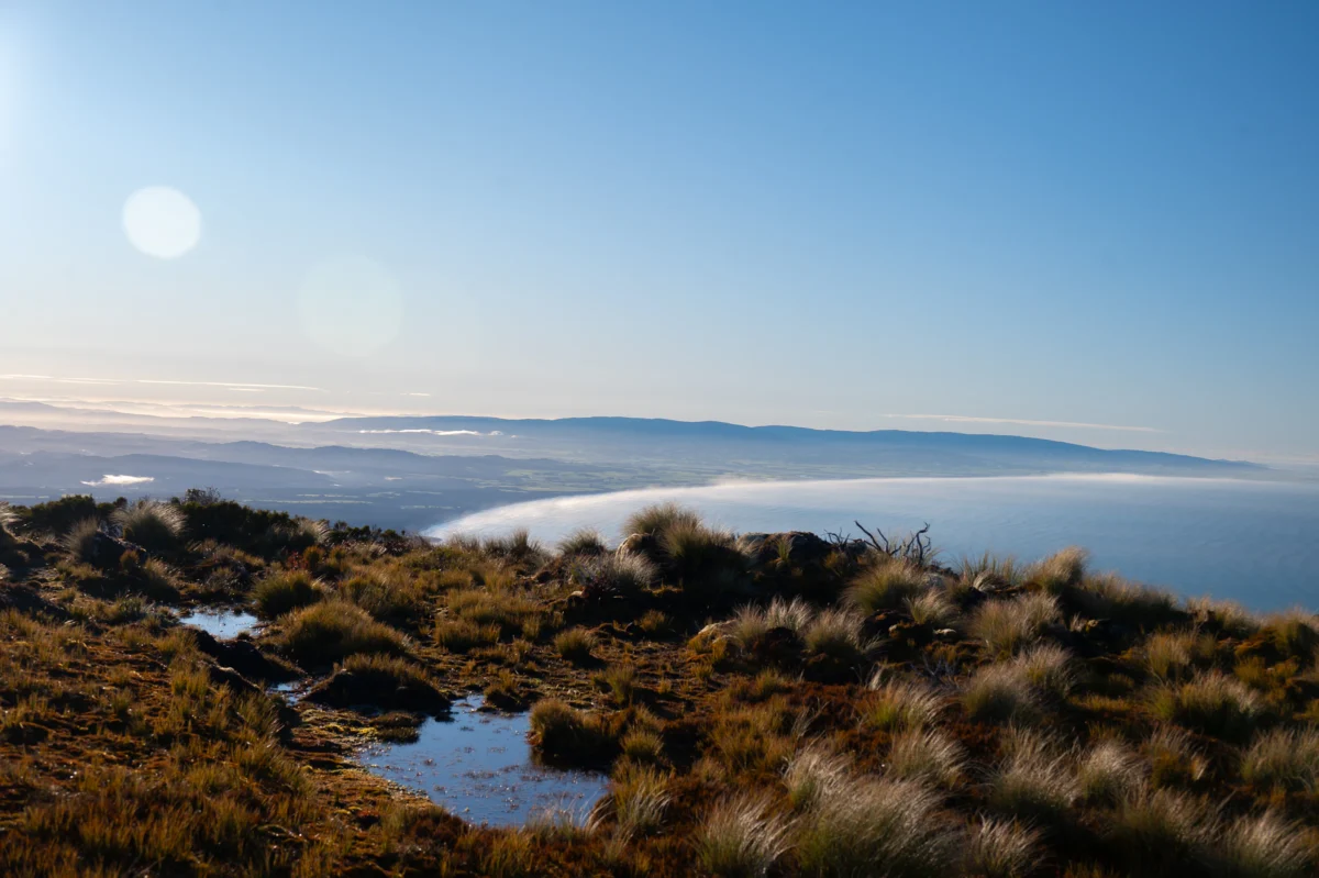 Hump Ridge Track (Tuatapere Hump Ridge) Photo