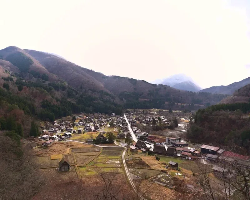 an aerial view of a village in the mountains
