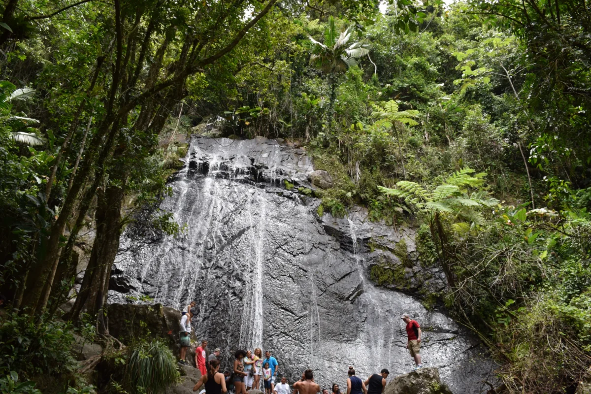 Scenic landscape of Juan Diego Falls Trail in Puerto Rico