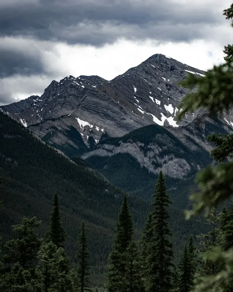 green pine trees near mountain under cloudy sky during daytime