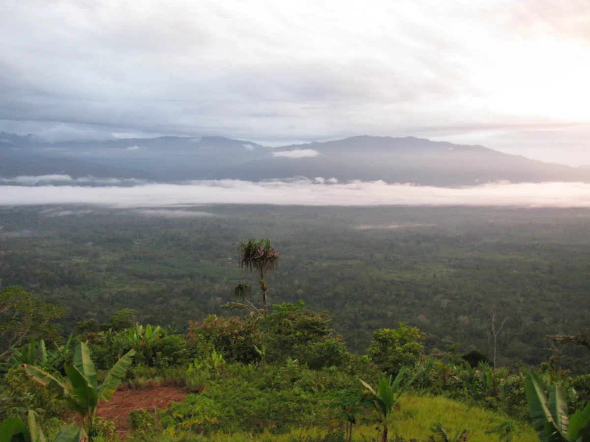 Scenic landscape of Kokoda Track in Papua New Guinea