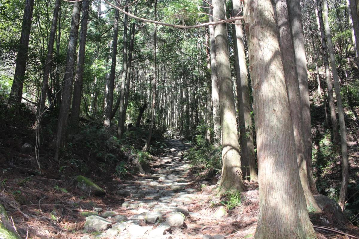 Scenic landscape of Kumano Kodo Iseji in Japan