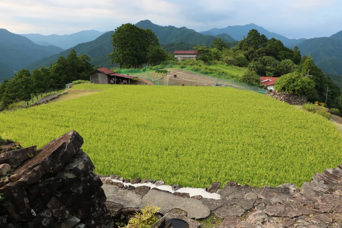 Scenic landscape of Kumano Kodo (Kohechi) in Japan