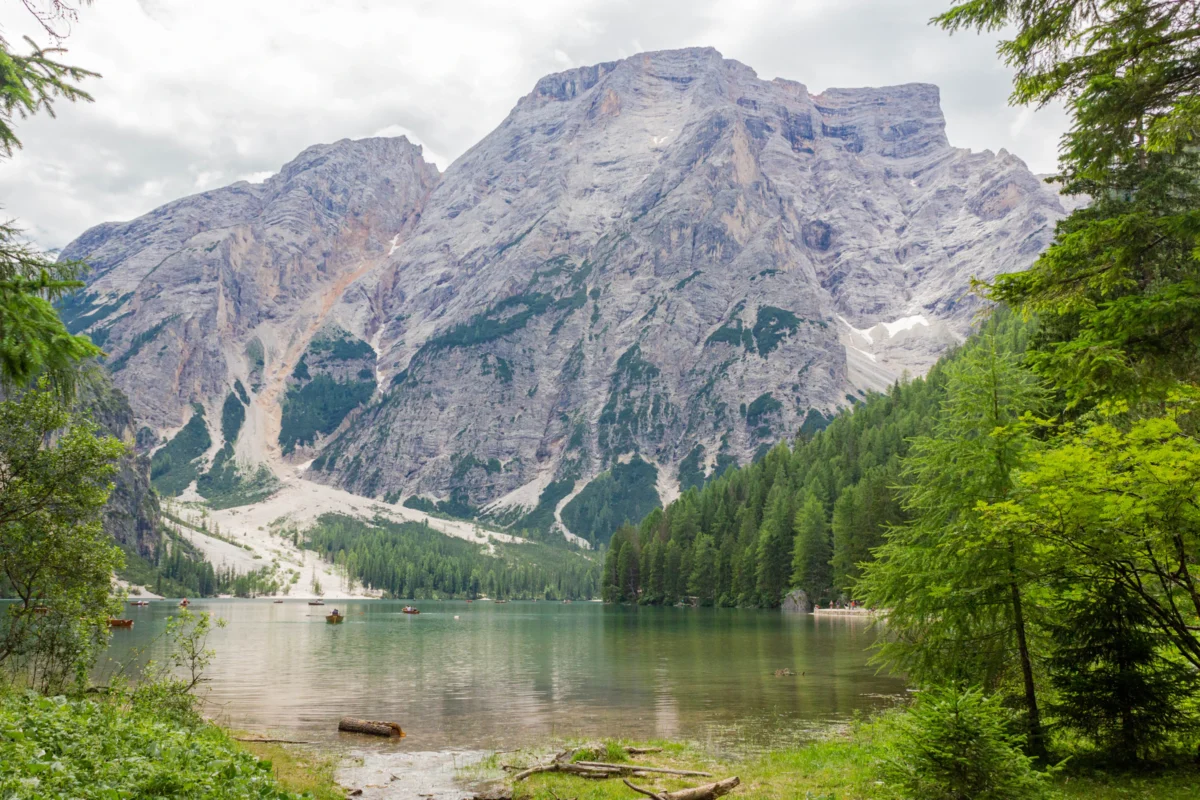 a river running through a forest next to a mountain