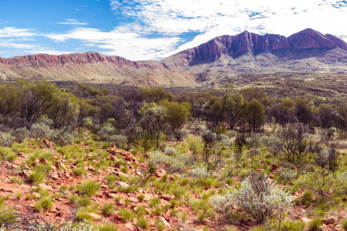 Scenic landscape of Larapinta Trail in Australia