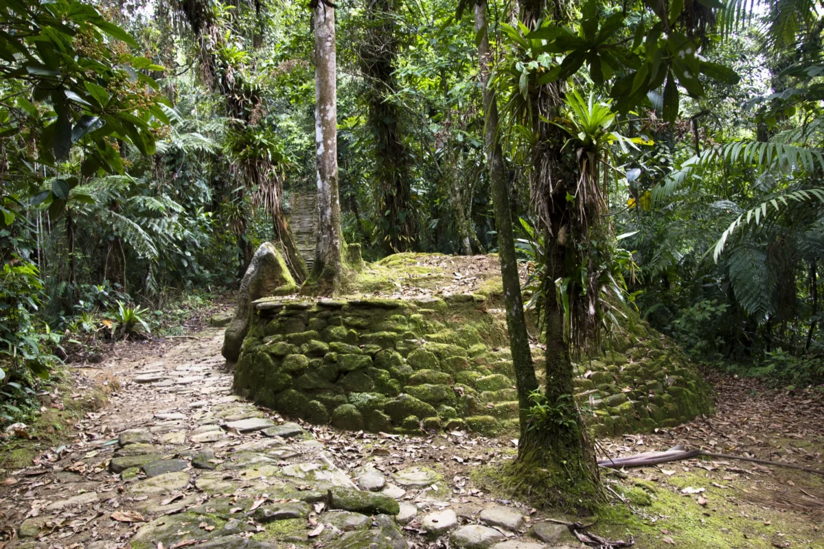 Scenic landscape of Lost City Pilgrimage Route in Colombia