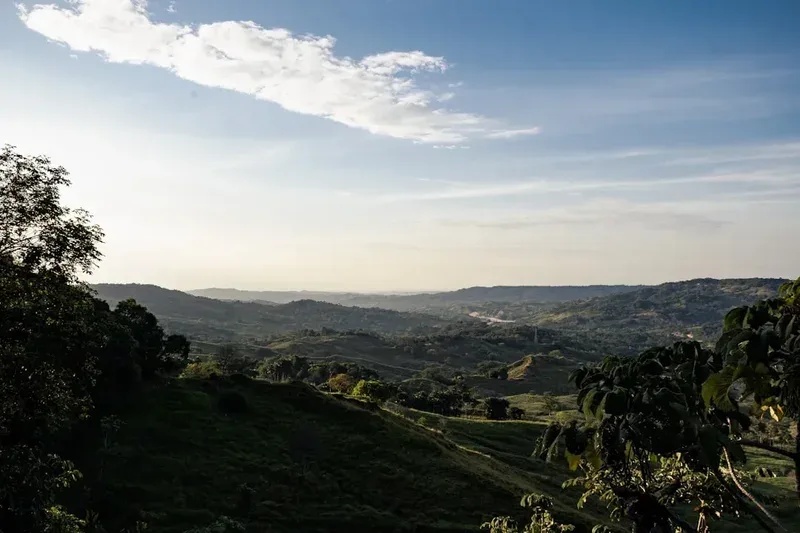 Rolling green hills under a hazy sky