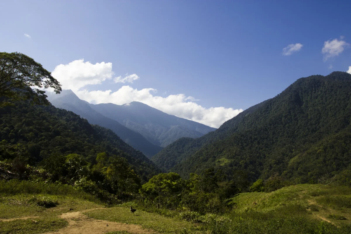 Scenic landscape of Lost City Trek in Colombia