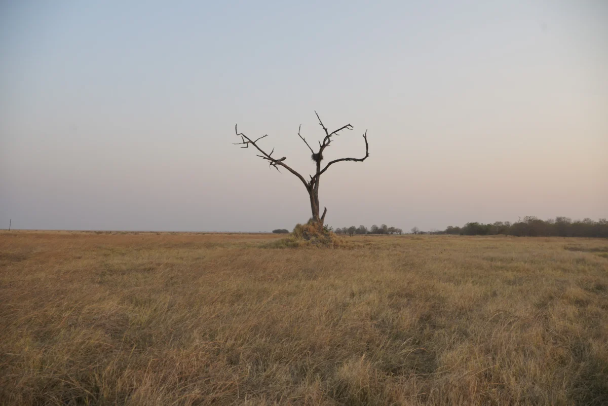 Scenic landscape of Makgadikgadi Pans Walk in Botswana