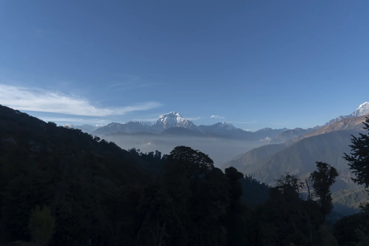 a view of a mountain range with trees in the foreground