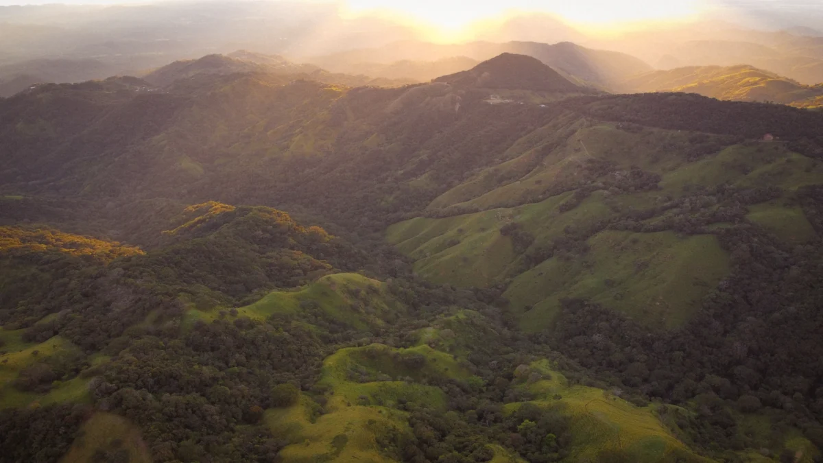 Monteverde Cloud Forest Trail Photo