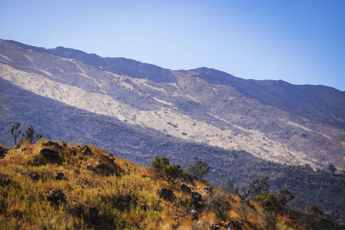 Scenic landscape of Mount Cameroon Summit Trek in Cameroon