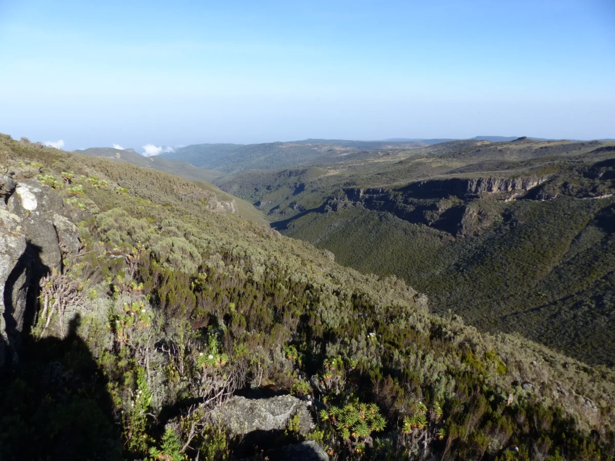 Scenic landscape of Mount Elgon Trek in Uganda