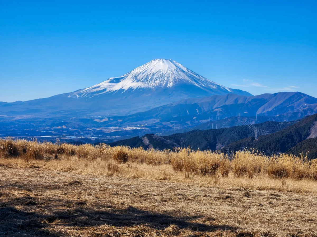 a snow covered mountain with trees in the foreground